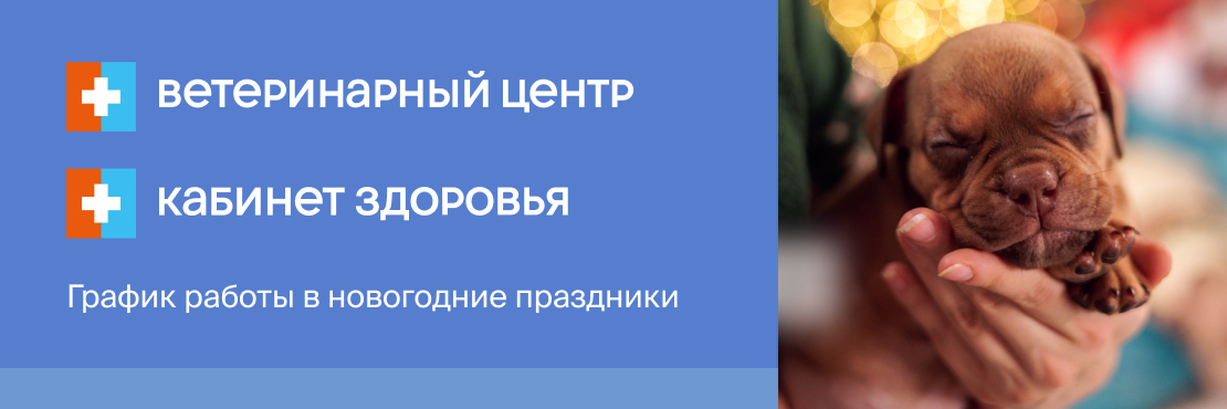 График работы Ветеринарных Центров и Кабинетов Здоровья в праздники