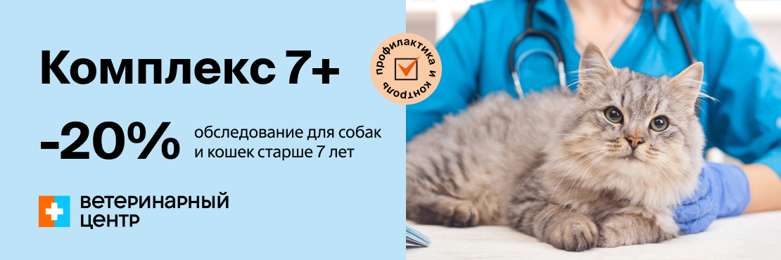 Скидка 20% на базовое обследование для кошек и собак старше 7 лет