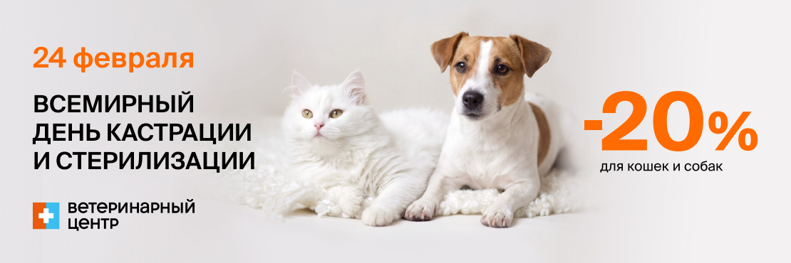 Скидка 20% на стерилизацию или кастрацию кошек и собак