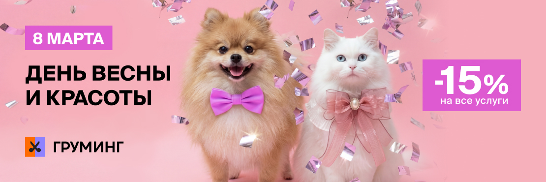 Скидка 15% на все услуги груминга