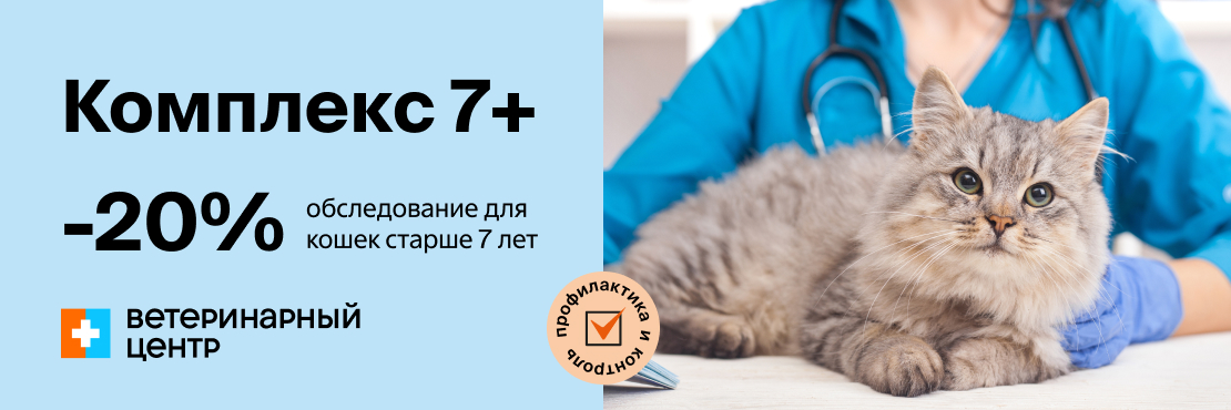 Скидка 20% на базовое обследование для кошек старше 7 лет