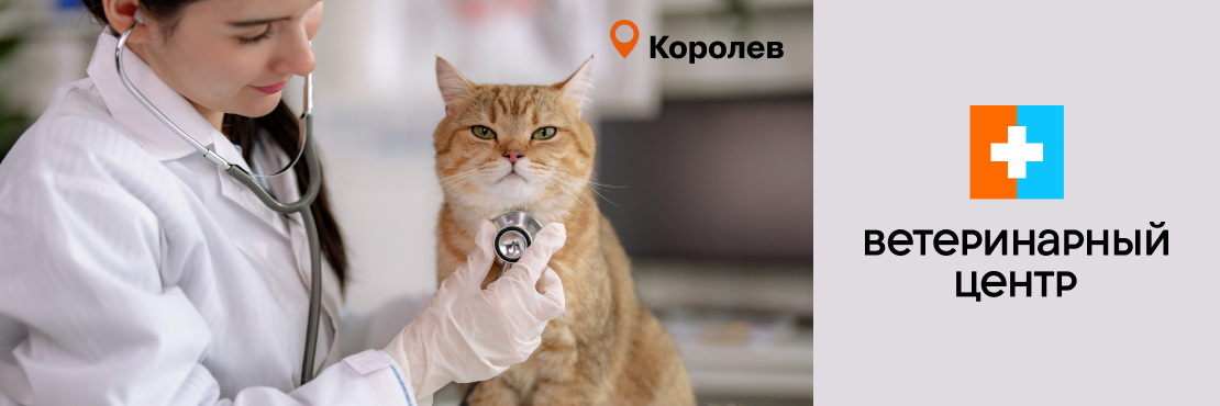 Ветеринарный Центр в Королеве возобновляет работу
