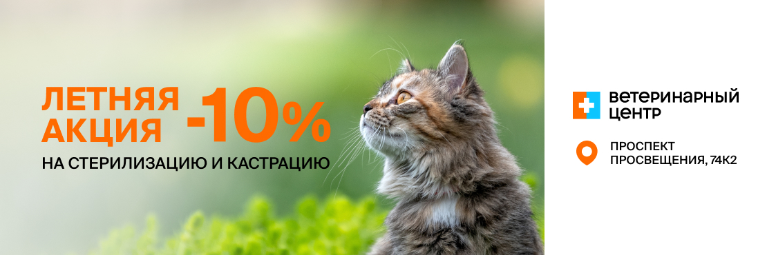Скидка 10% на стерилизацию и кастрацию в Санкт-Петербурге