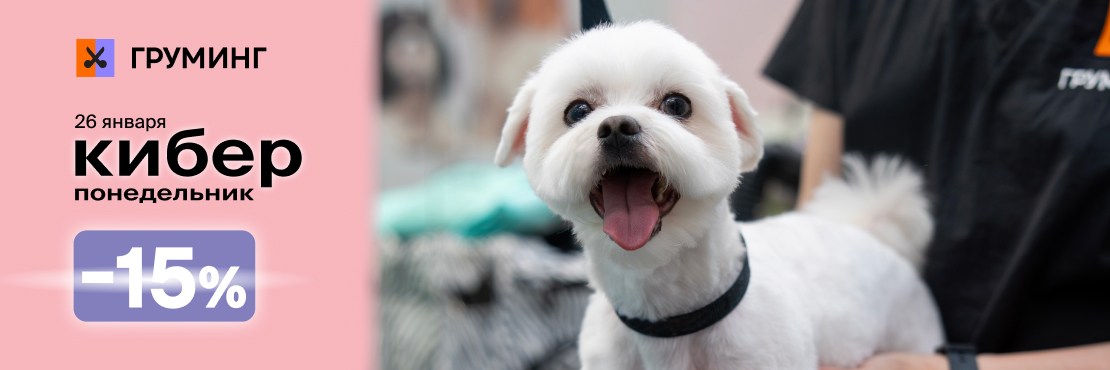 Киберскидка 15% на все услуги груминга