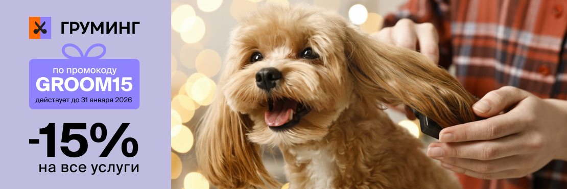 Скидка 15% по промокоду на все услуги груминга