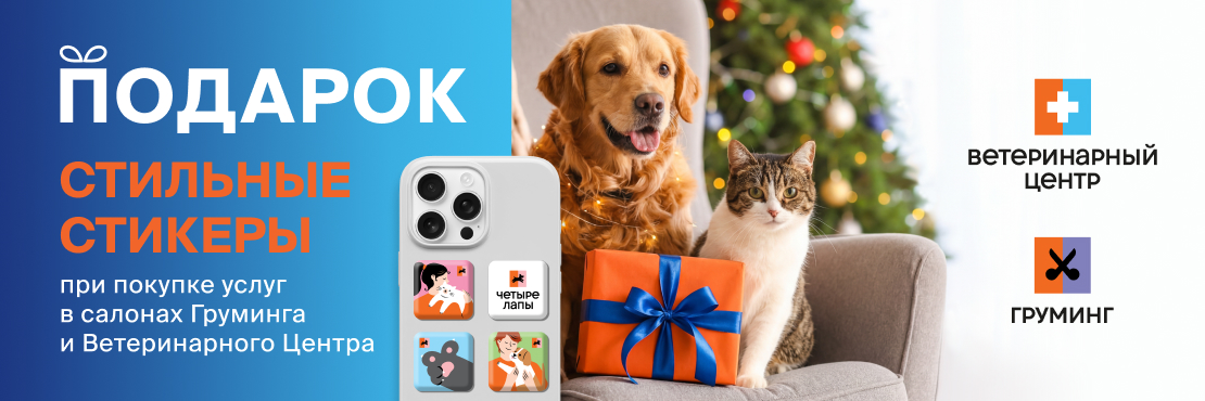 Подарок за покупку ветеринарных и груминг-услуг