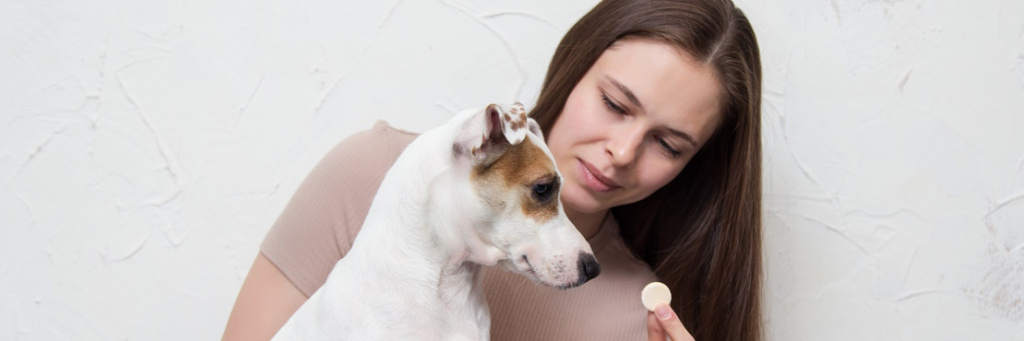 Какие прививки нужно делать собаке?